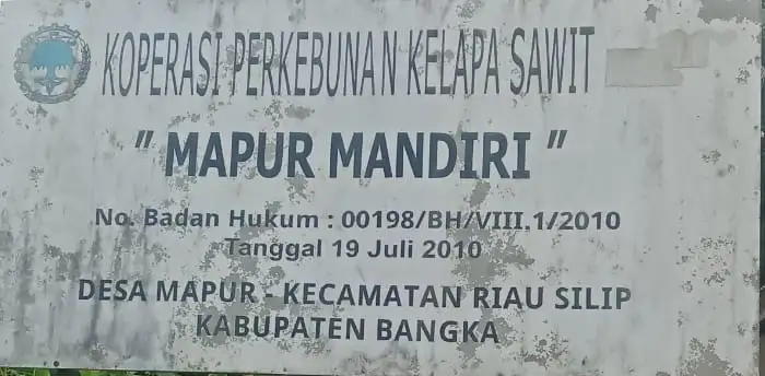 GEGER! PEMILIK KEDUA KEBUN SAWIT DI MAPUR MENGAKU DIRUGIKAN 17 TAHUN, SIAP GUGAT KOPERASI DAN PT GPL KE JALUR HUKUM  Status Kepemilikan Diklaim Sah, Namun Hak Disebut Tak Pernah Diterima Akibat Sistem